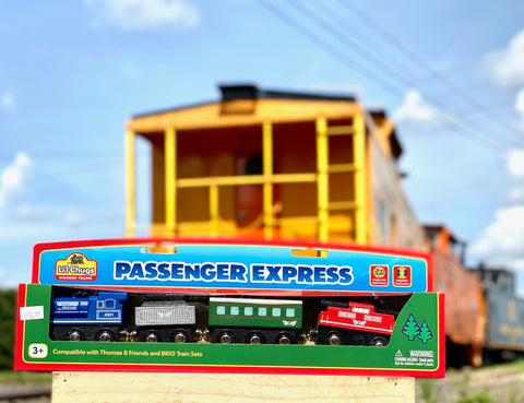 Passenger Express Train Set